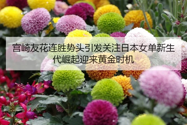 宫崎友花连胜势头引发关注日本女单新生代崛起迎来黄金时机