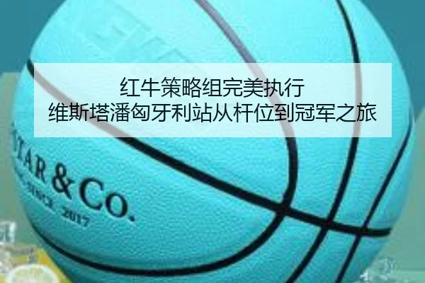 红牛策略组完美执行 维斯塔潘匈牙利站从杆位到冠军之旅